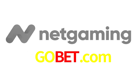 NetGaming